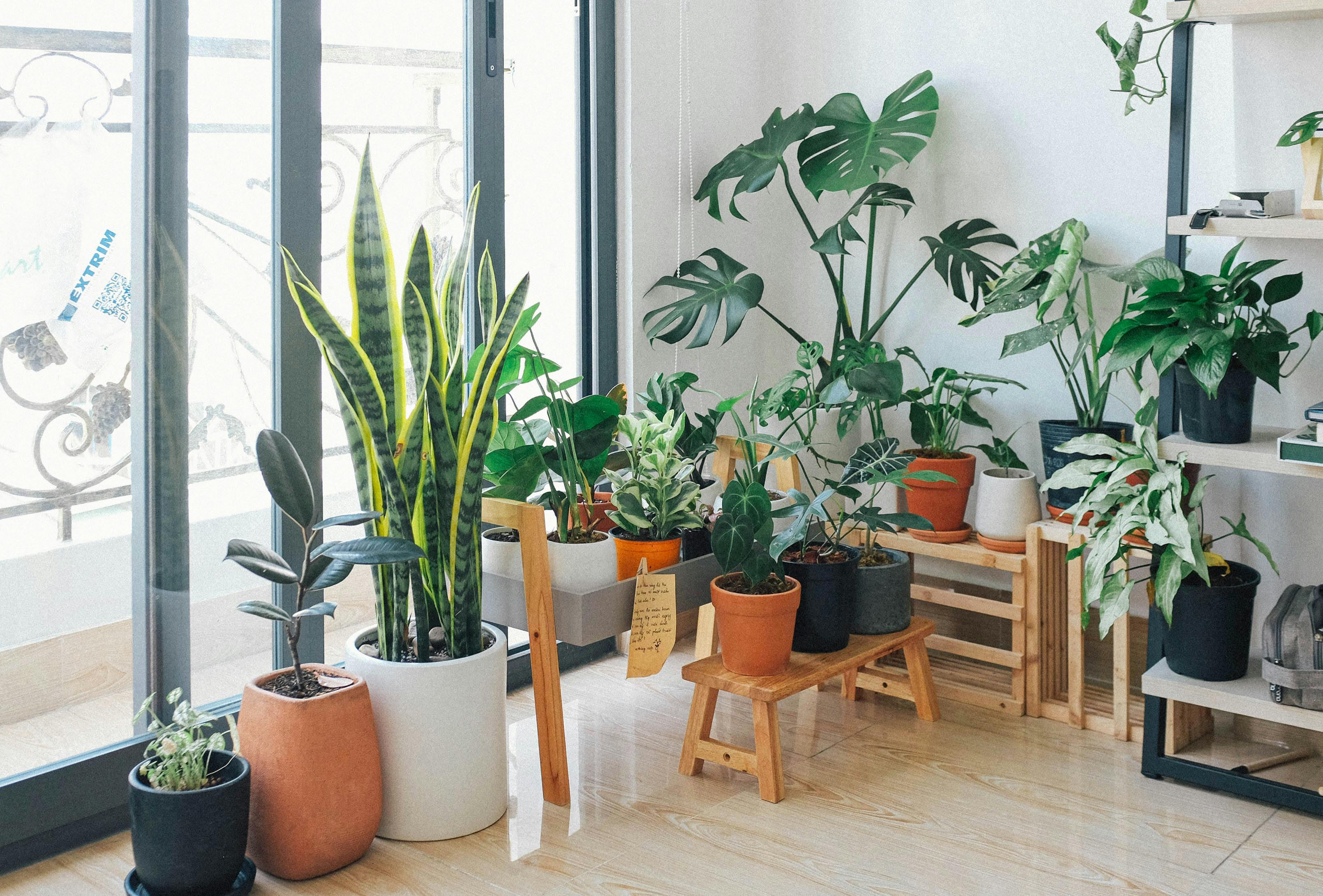 Stone vase with green stems in a quiet home corner